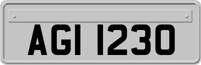 AGI1230