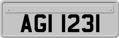 AGI1231