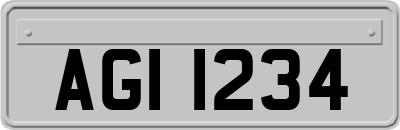 AGI1234
