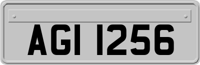 AGI1256