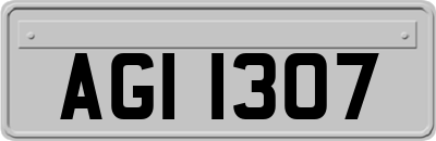AGI1307