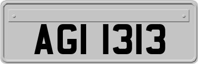 AGI1313