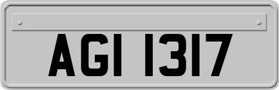 AGI1317