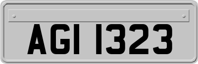 AGI1323