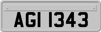 AGI1343