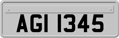 AGI1345
