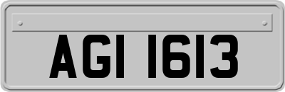 AGI1613
