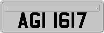 AGI1617