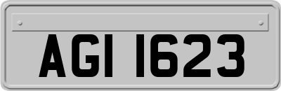 AGI1623