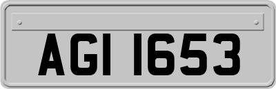 AGI1653