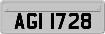 AGI1728