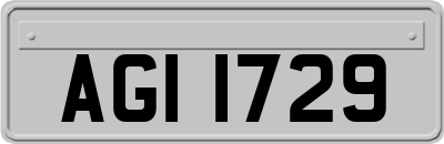 AGI1729