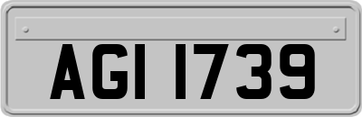 AGI1739
