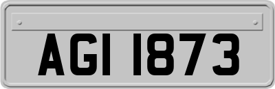 AGI1873