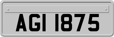 AGI1875