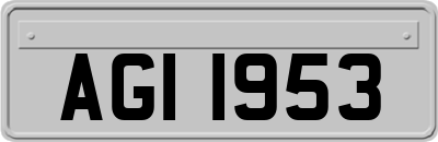 AGI1953