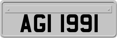 AGI1991