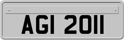 AGI2011