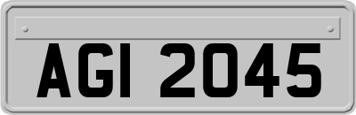 AGI2045