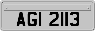 AGI2113