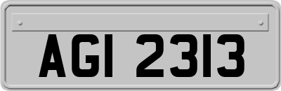 AGI2313
