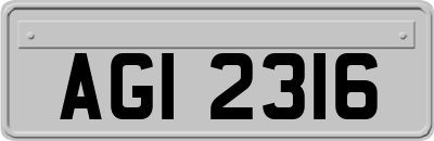 AGI2316