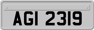 AGI2319