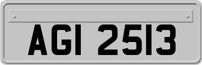 AGI2513