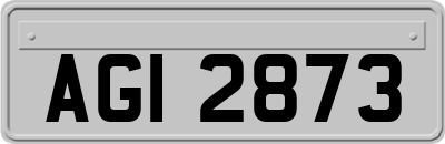 AGI2873