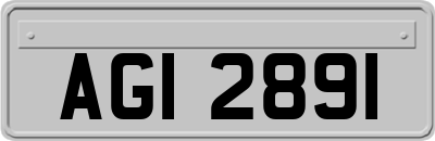 AGI2891