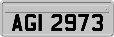 AGI2973