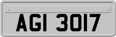 AGI3017