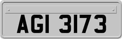 AGI3173