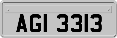 AGI3313