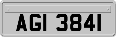 AGI3841