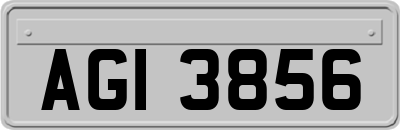 AGI3856
