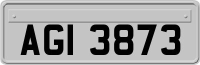 AGI3873