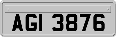 AGI3876