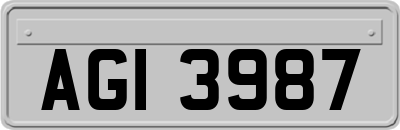 AGI3987