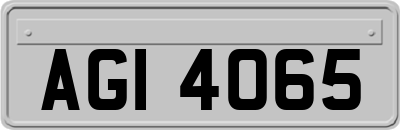 AGI4065