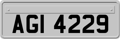 AGI4229