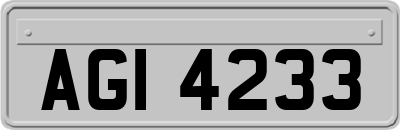 AGI4233