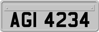 AGI4234
