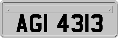 AGI4313