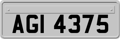 AGI4375