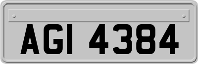 AGI4384