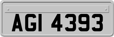 AGI4393