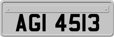 AGI4513