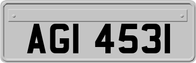 AGI4531