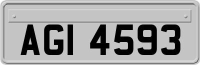 AGI4593